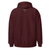 Carl Schurz Pickleball Hoodie - Darks