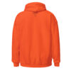 Carl Schurz Pickleball Hoodie - Lights
